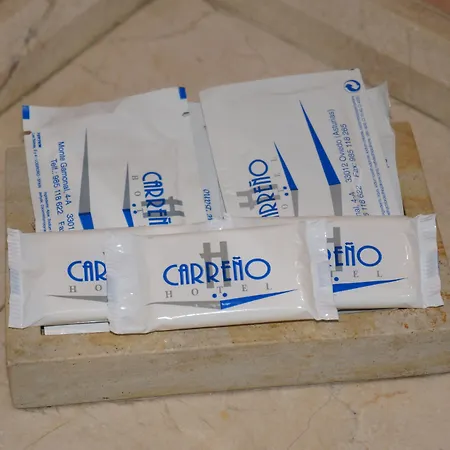 Hotel Carreno Oviedo